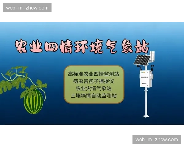 气象数据接入赛事调度中枢 辅助户外活动科学决策